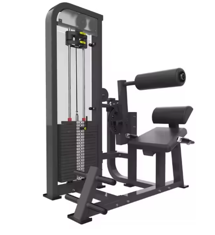 Fit Flex HQ North Star Ab and Back Machine