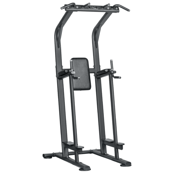 TAG Vertical Knee Raise Chin Dip
